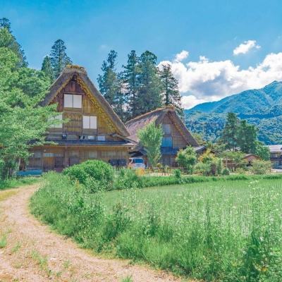 AG九游会下载手机版截图